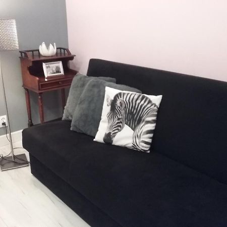Stary Toruń Vintage - Rose Apartament מראה חיצוני תמונה