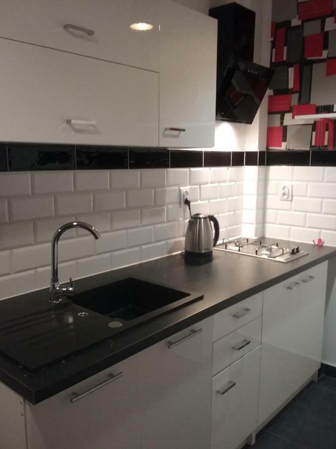 Stary Toruń Vintage - Rose Apartament מראה חיצוני תמונה
