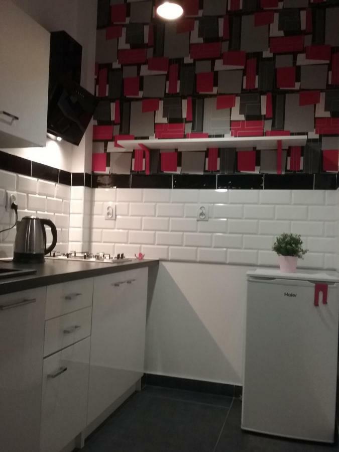 Stary Toruń Vintage - Rose Apartament מראה חיצוני תמונה