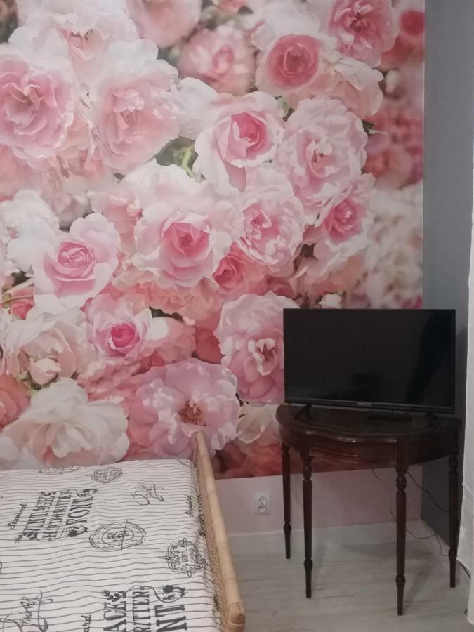 Stary Toruń Vintage - Rose Apartament מראה חיצוני תמונה