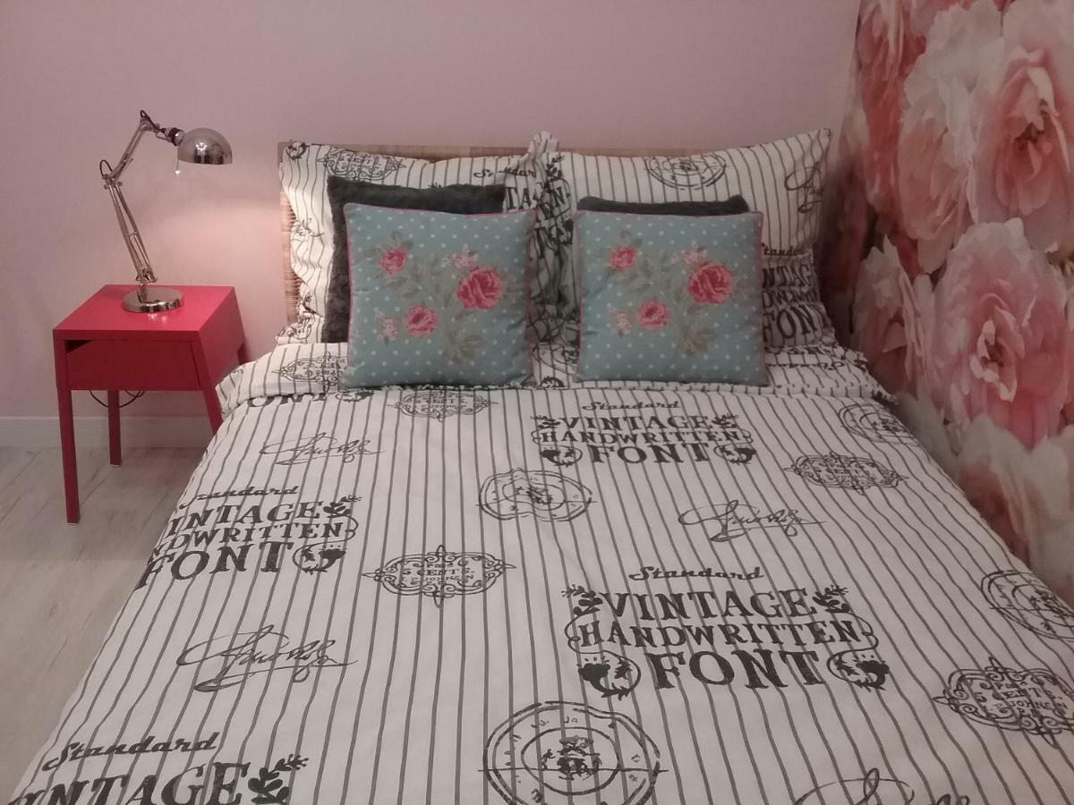 Stary Toruń Vintage - Rose Apartament מראה חיצוני תמונה