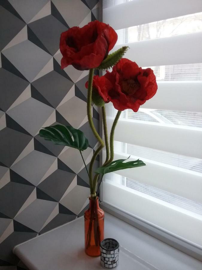 Stary Toruń Vintage - Rose Apartament מראה חיצוני תמונה