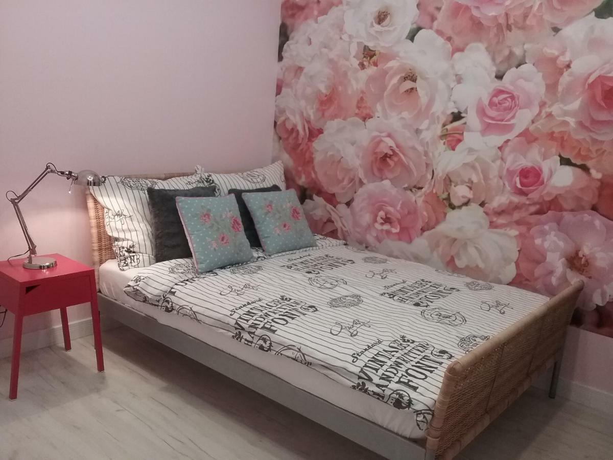 Stary Toruń Vintage - Rose Apartament מראה חיצוני תמונה