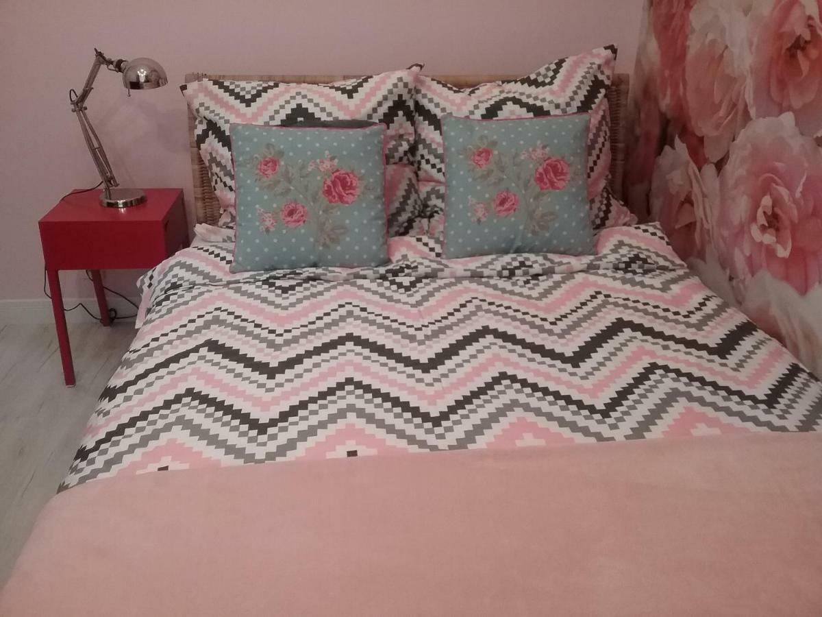 Stary Toruń Vintage - Rose Apartament מראה חיצוני תמונה
