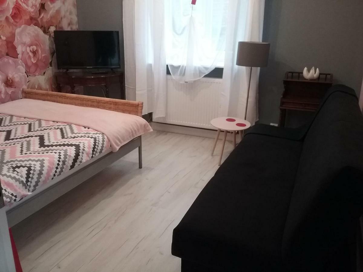 Stary Toruń Vintage - Rose Apartament מראה חיצוני תמונה